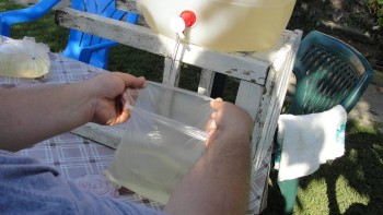 Sirop la punga.jpg