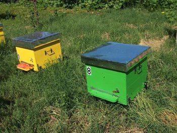 DSCF1491 (Small).JPG