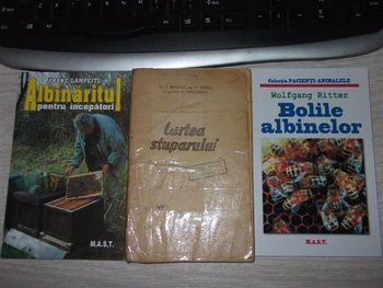 DSCF1518 (Small).JPG