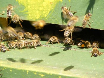 DSCF1228.jpg
