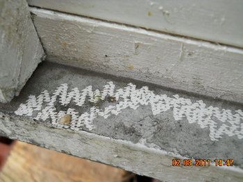 DSCN1323.JPG