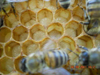 DSCN1364.JPG
