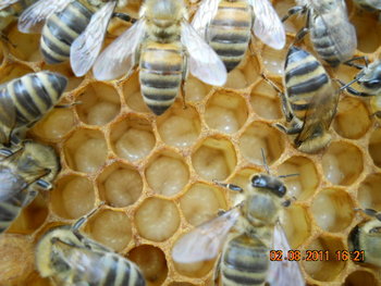 DSCN1366.JPG