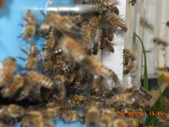 DSCN1357.JPG