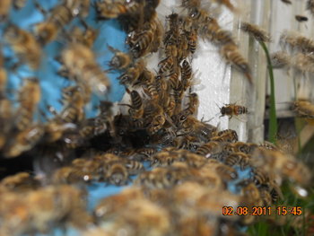 DSCN1359.JPG
