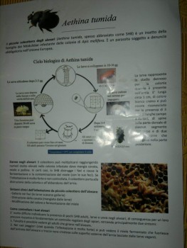 2014-11-13-678_2.jpg