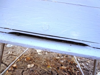 urdinis.JPG