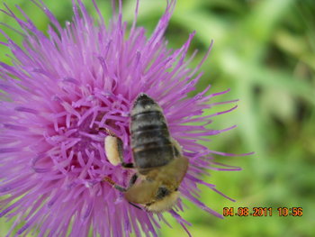 DSCN1388.JPG