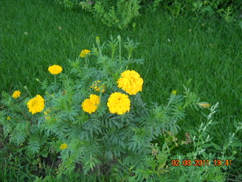DSCN1370.JPG