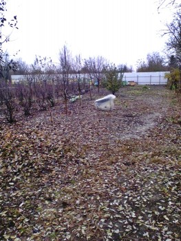 IMG00323.jpg