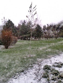 IMG00326.jpg