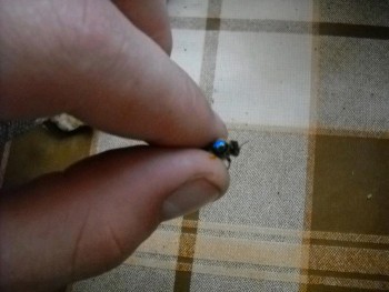 37908473_TIVEIMUOJ[1].jpg