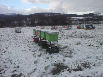 20141221_102147.jpg