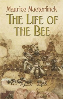life_of_bee.jpg