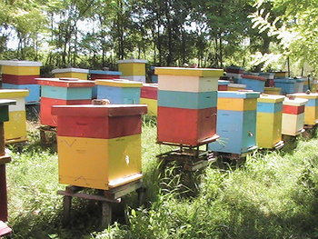 PIC_0084.JPG