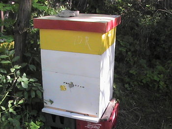 PIC_0091.JPG