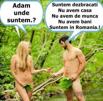 in romanica!.jpg