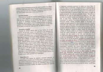 Wolfgang Ritter-Varroa pag.84-85.jpg