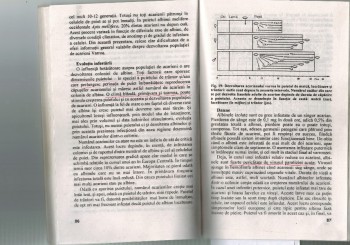 pag. 86-87.jpg