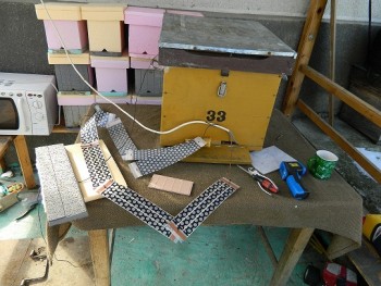 DSCN6679.JPG