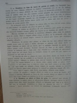 05.jpg