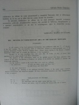 09.jpg