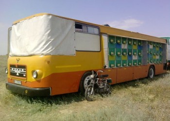 autobuz-apicol-43967-1.jpg