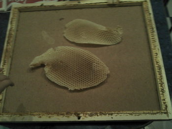 2011-08-07_21-35-16_124.jpg