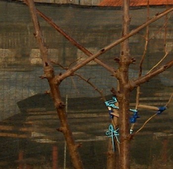 HPIM3802d.jpg