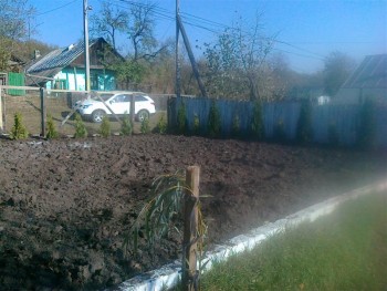 29102011121 (Medium).jpg