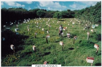 ok_17419.jpg