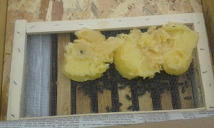 20140110_102309.jpg