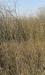 20140312_094049.jpg