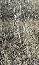 20140312_094100.jpg