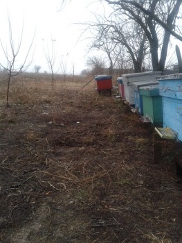 20150124_101001.jpg
