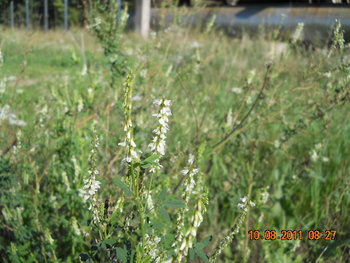 DSCN1454.JPG