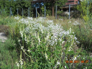 DSCN1455.JPG