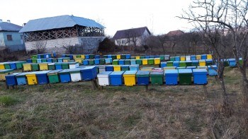 20150131_133410.jpg