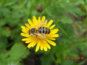 DSCN1460.JPG
