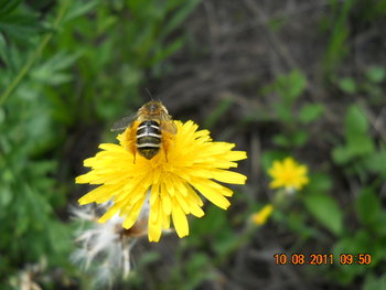 DSCN1463.JPG