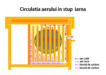 circulatia aerului.jpg