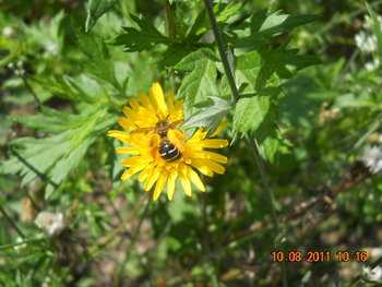 DSCN1495.JPG