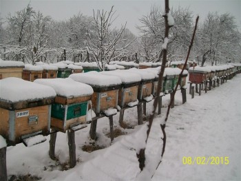 002 (855 x 642).jpg