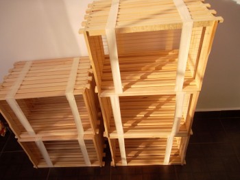 SAM_1808_opt.jpg