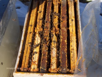 HPIM3817r.jpg