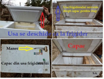 CapapulDeLaStupulDinFr.jpg
