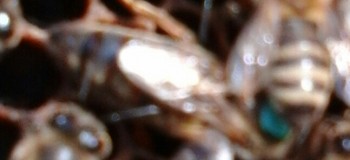 20150221_143848-1.jpg