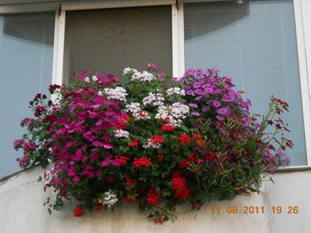 rsz_dscn1536.jpg