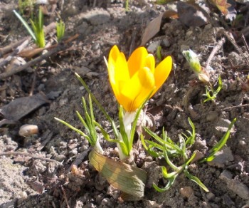 04.03.2015.JPG