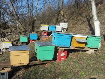 20150308_154506.jpg